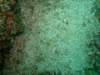 dscf0995_small.jpg