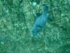 dscf0996_small.jpg