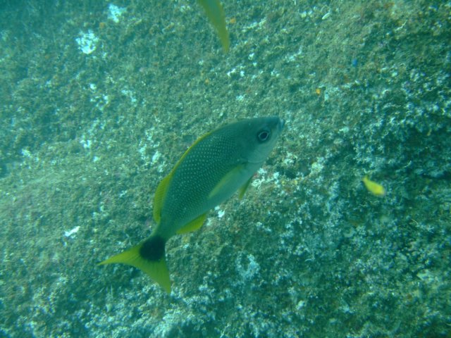 dscf0997.jpg