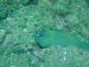 dscf0999_small.jpg