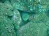 dscf1002_small.jpg