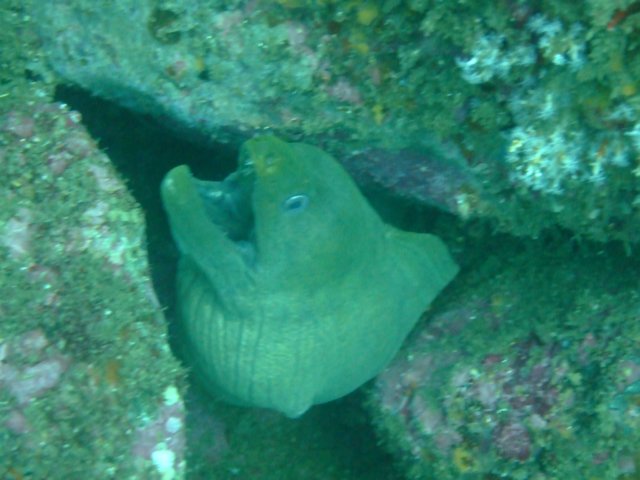dscf1003.jpg