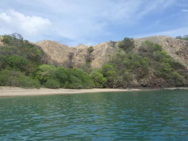 dscf1005.jpg