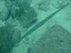 dscf1010_small.jpg