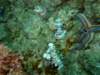 dscf1011_small.jpg
