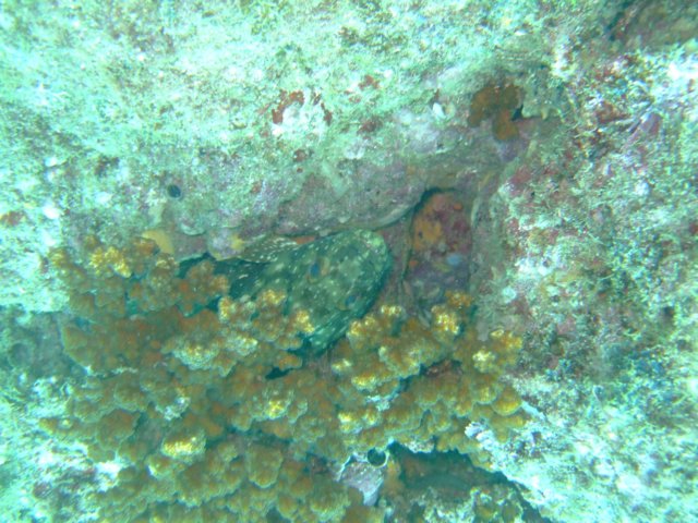 dscf1017.jpg