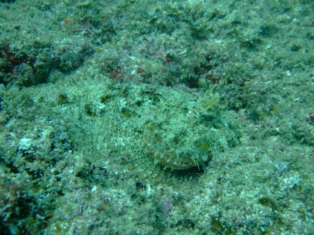 dscf1018.jpg