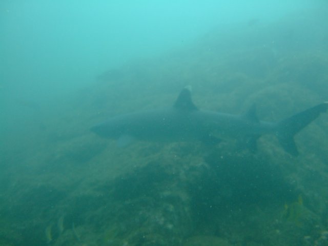 dscf1021.jpg