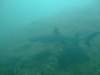 dscf1021_small.jpg