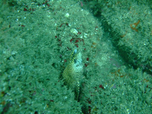 dscf1031.jpg