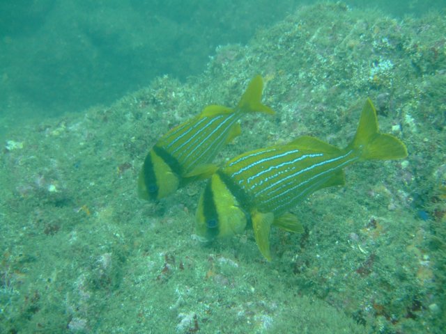 dscf1033.jpg