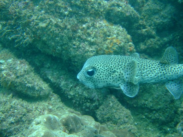 dscf1051.jpg