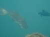 dscf1053_small.jpg