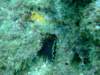 dscf1054_small.jpg