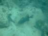 dscf1059_small.jpg