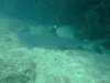 dscf1061_small.jpg