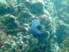 dscf1069_small.jpg
