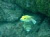 dscf1075_small.jpg