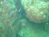 dscf0137_small.jpg