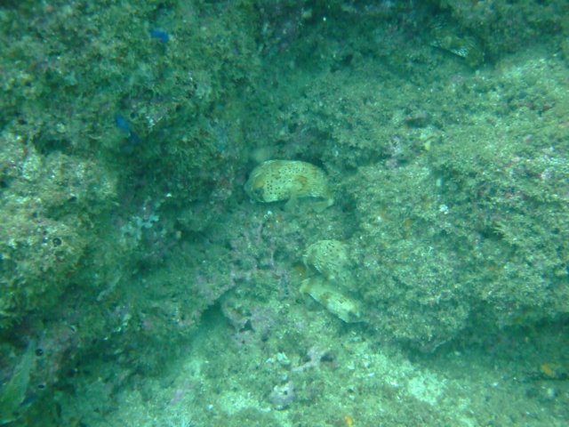 dscf0161.jpg