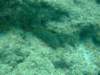 dscf0170_small.jpg