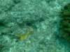 dscf0173_small.jpg