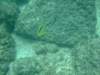 dscf0174_small.jpg