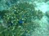 dscf0180_small.jpg