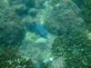 dscf0181_small.jpg
