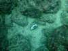 dscf0183_small.jpg