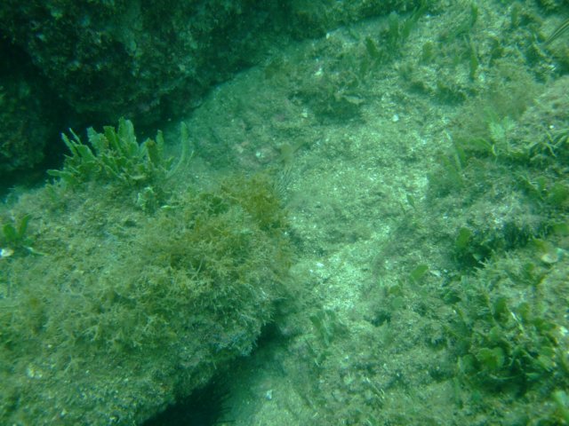 dscf0201.jpg