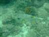 dscf0208_small.jpg