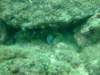dscf0209_small.jpg