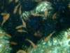 dscf0211_small.jpg
