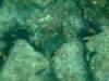 dscf0213_small.jpg