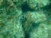 dscf0216_small.jpg