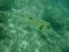 dscf0217_small.jpg