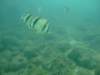 dscf0223_small.jpg