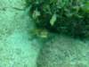dscf0224_small.jpg