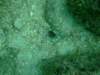 dscf0225_small.jpg