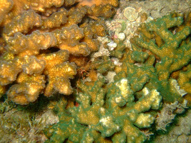 dscf0308.jpg