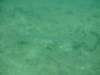 dscf0310_small.jpg