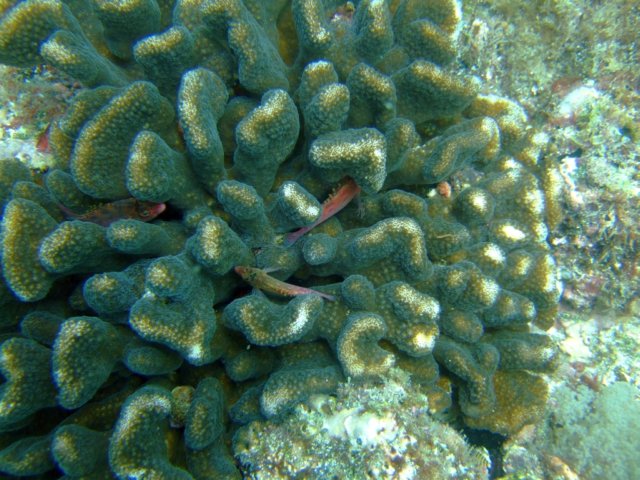 dscf0391.jpg