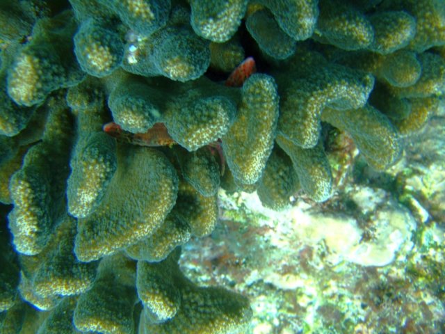 dscf0393.jpg