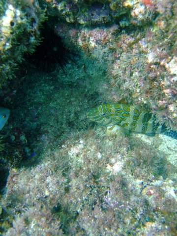 dscf0401.jpg