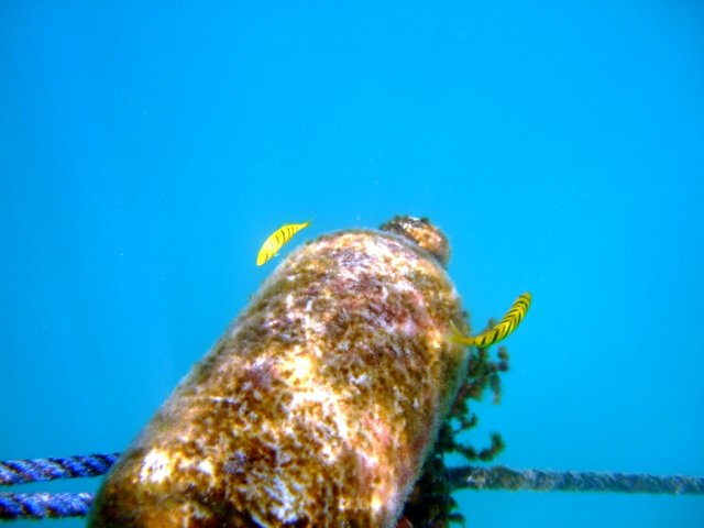 dscf0422.jpg