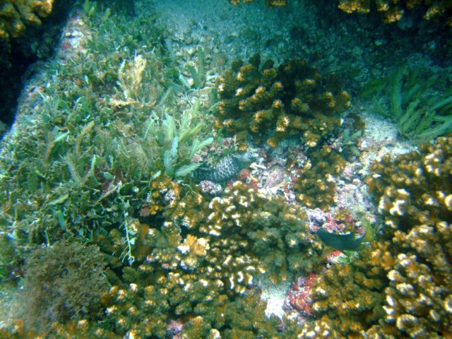 dscf0443.jpg