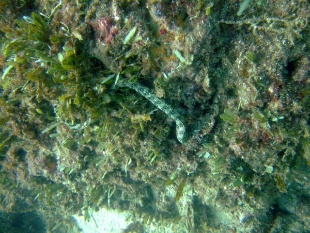 dscf0449.jpg