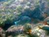 dscf0456_small.jpg
