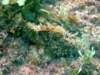dscf0459_small.jpg